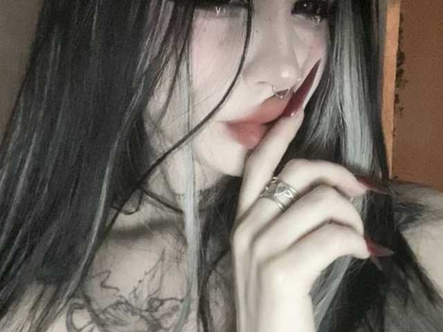 Photo du profil lisa-tatt