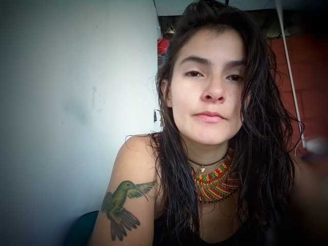 Photo du profil AmelieColins