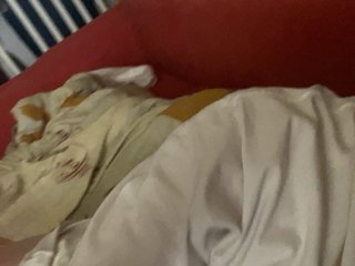 Chat vidéo érotique Annabelle11