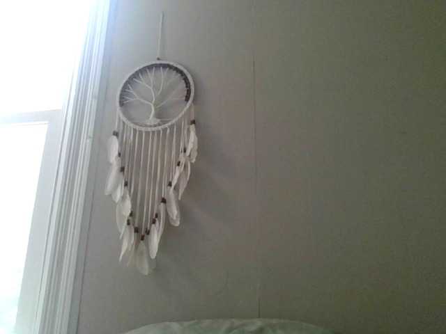 Captures d'écran de diffusion AriaLeea