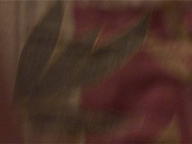 Captures d'écran de diffusion AshaPM