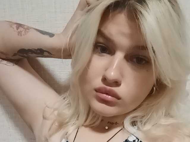 Photo du profil Bellkins