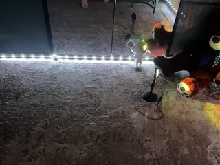 Chat vidéo érotique -KOCMOC-13