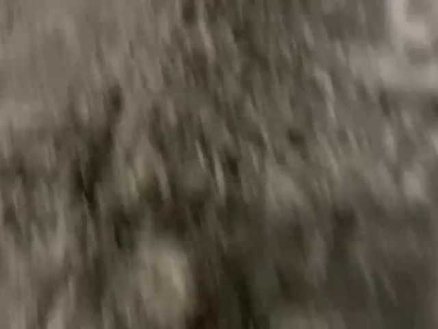 Captures d'écran de diffusion iamstudent22