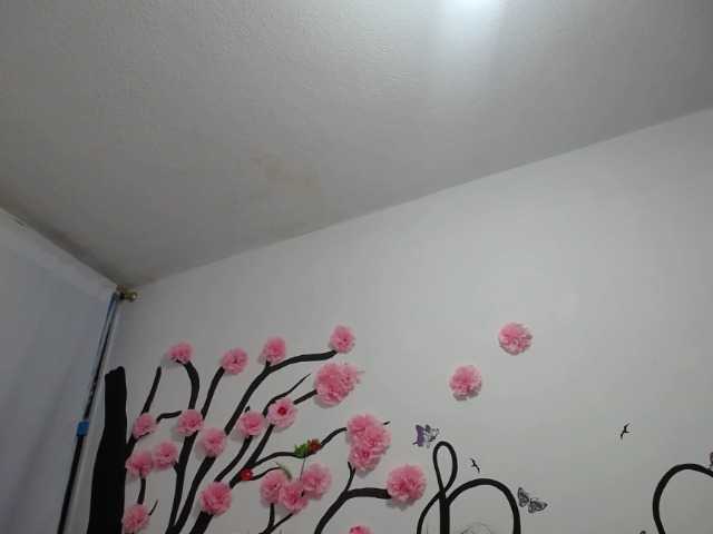 Captures d'écran de diffusion RUBY-