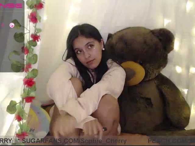 Captures d'écran de diffusion soficute