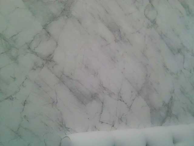 Captures d'écran de diffusion BonnieExcite