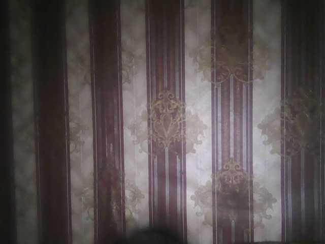 Captures d'écran de diffusion -jasmine-