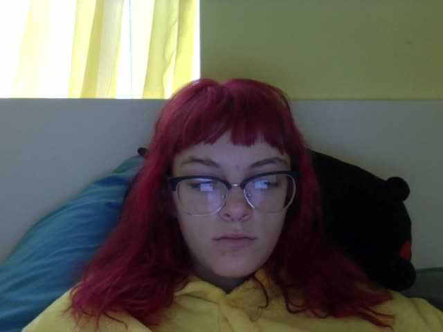 Captures d'écran de diffusion ChamFleydi