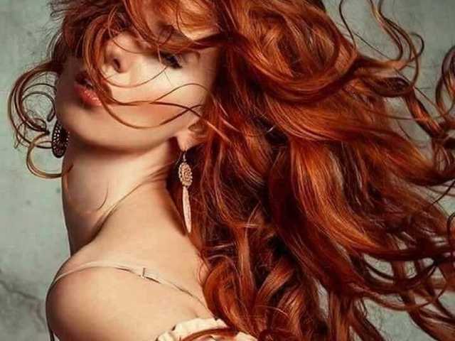 Photo du profil Chanterelle