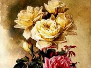 Chat vidéo érotique cowtitts