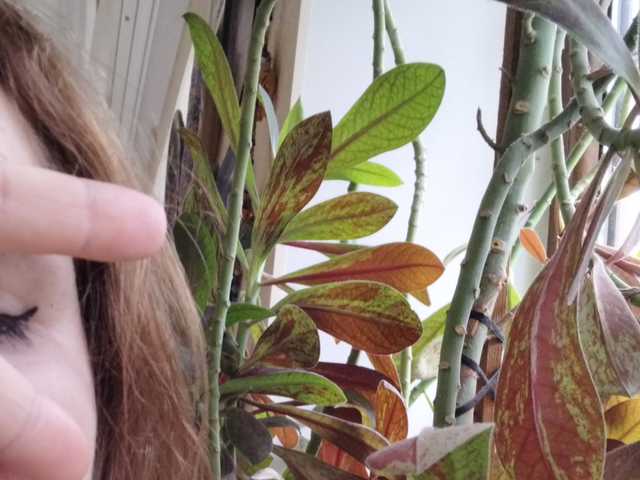 Photo du profil Crazycouple8