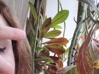 Chat vidéo érotique Crazycouple8