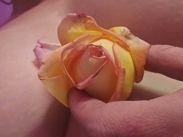 Photo du profil Delicious-Dahlia