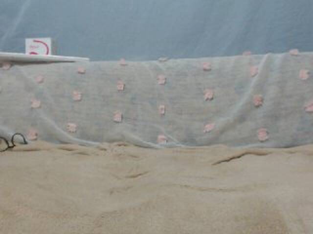 Captures d'écran de diffusion DonnaWildJoyy