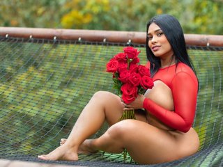 Chat vidéo érotique Ericajohnson12