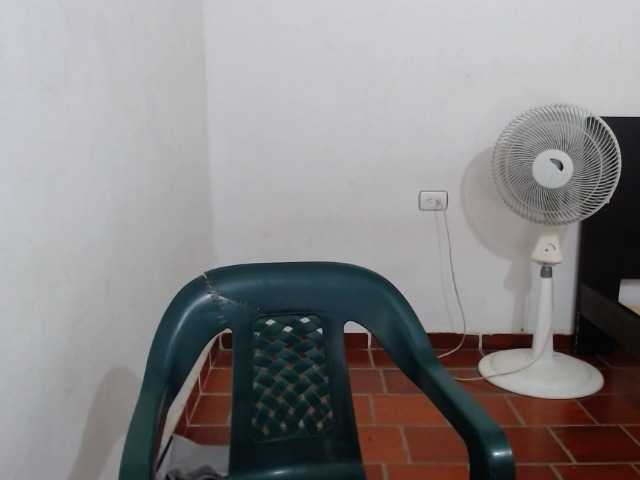 Captures d'écran de diffusion evi2020