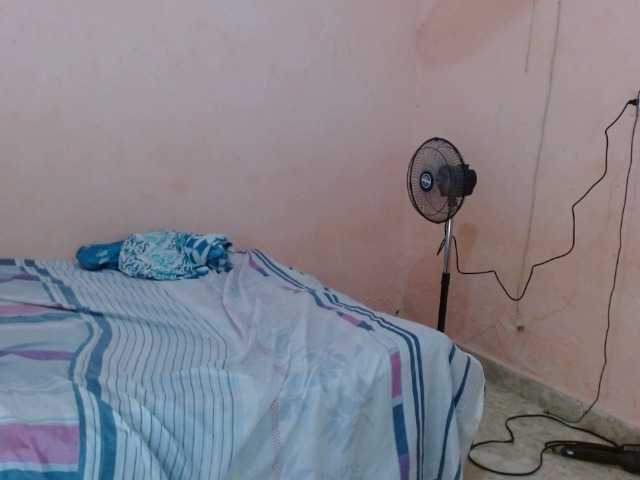 Captures d'écran de diffusion evi2020