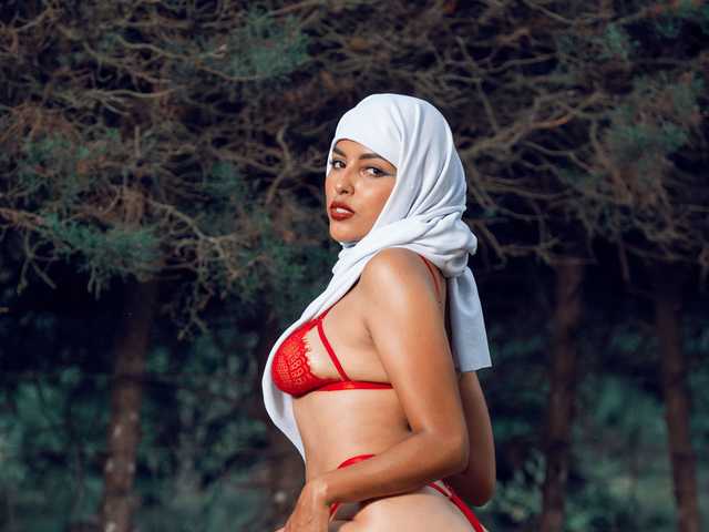 Photo du profil falakhab-