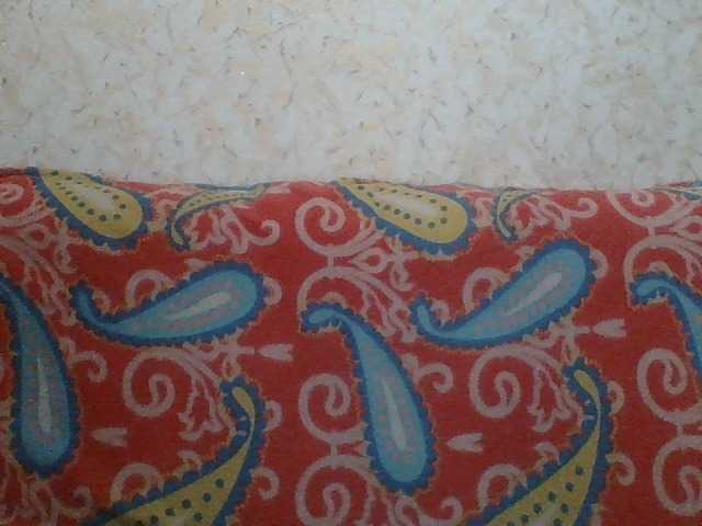 Captures d'écran de diffusion Fantom-38