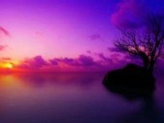 Chat vidéo érotique florabella