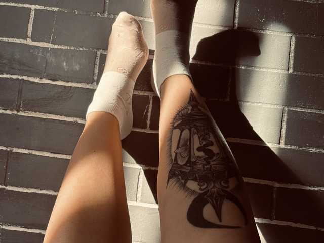 Photo du profil Fox-Paws