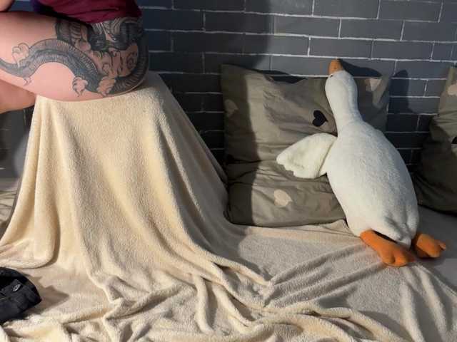 Captures d'écran de diffusion Fox-Paws