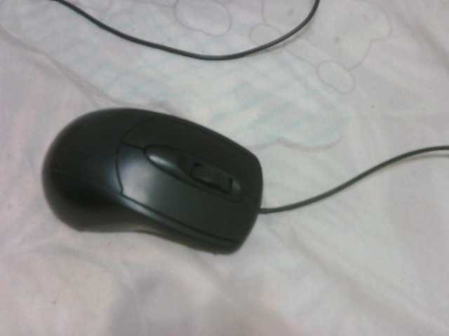 Captures d'écran de diffusion FuckMyAnus