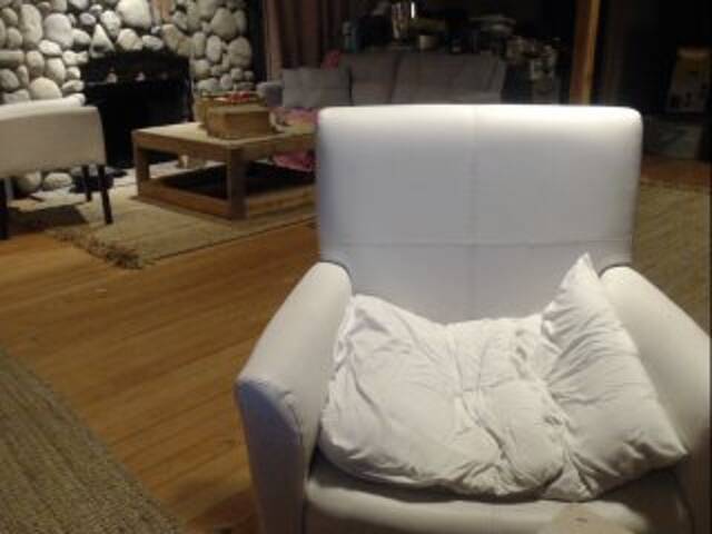 Captures d'écran de diffusion graciesplace