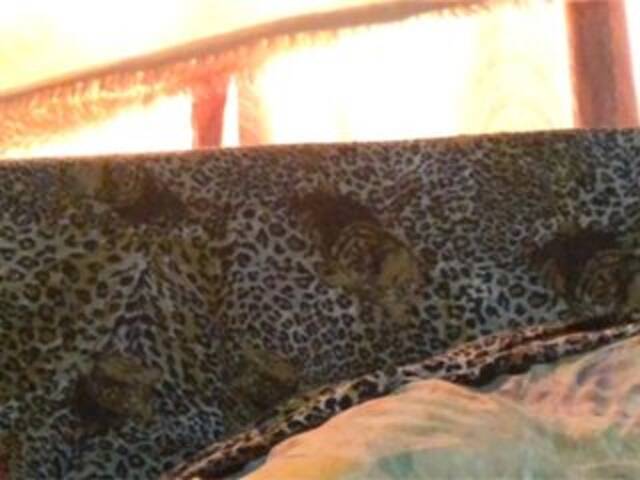 Captures d'écran de diffusion Grappa01