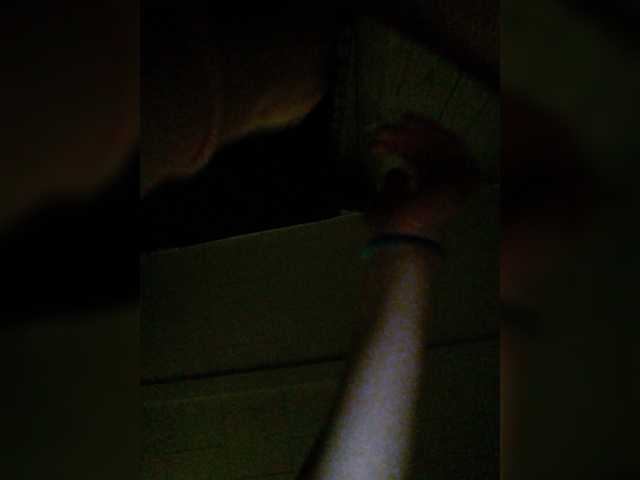 Captures d'écran de diffusion her-highness