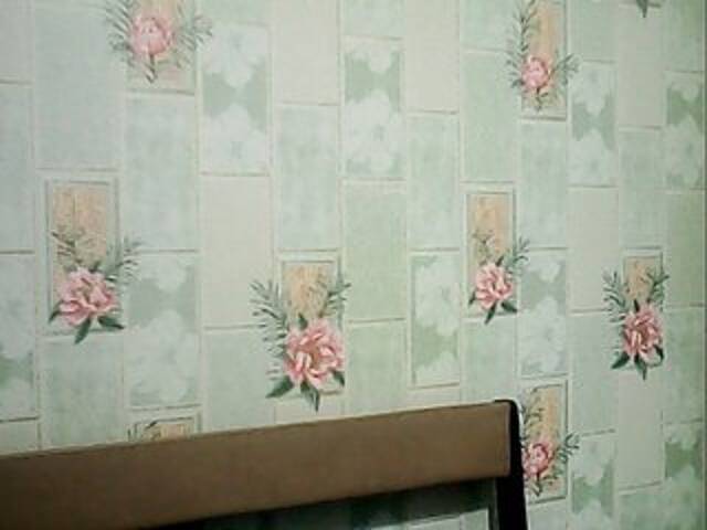 Captures d'écran de diffusion Inrika