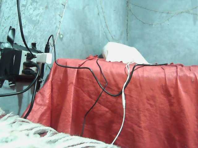 Captures d'écran de diffusion isisaenz