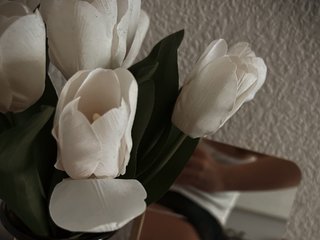 Chat vidéo érotique ISweetI