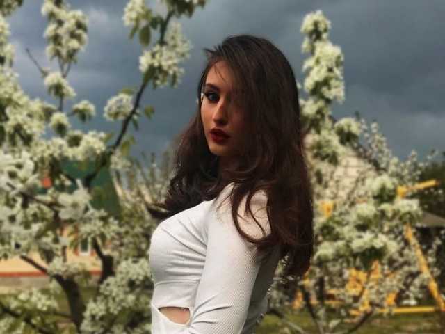 Photo du profil KinkyNova