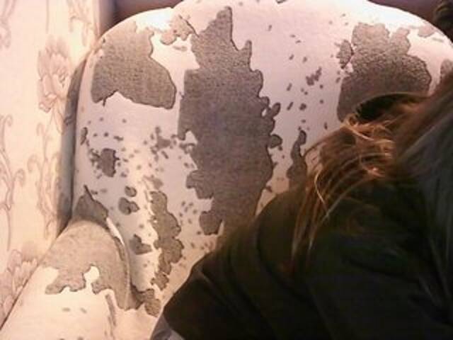 Captures d'écran de diffusion KOBRA-X