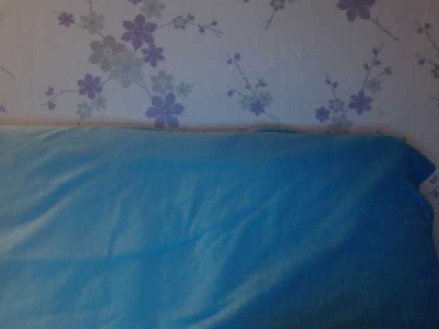 Captures d'écran de diffusion littledevi