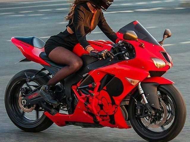 Photo du profil lovewildguy