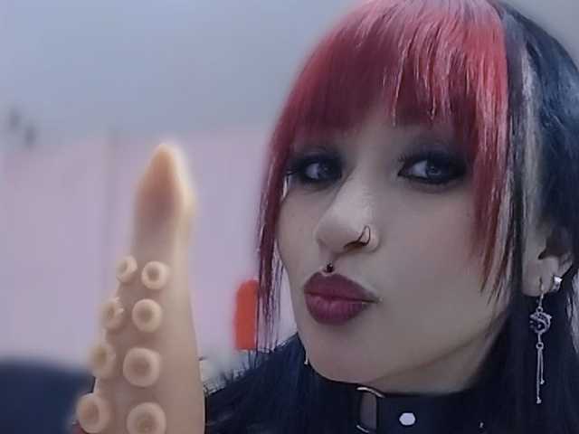 Photo du profil LucyHeartfilia