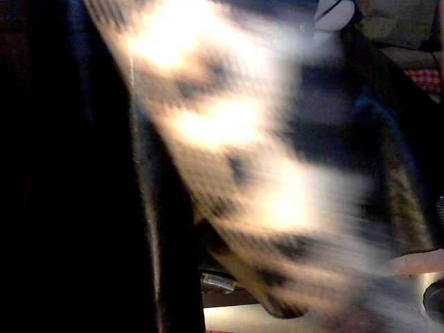 Captures d'écran de diffusion MarieStar