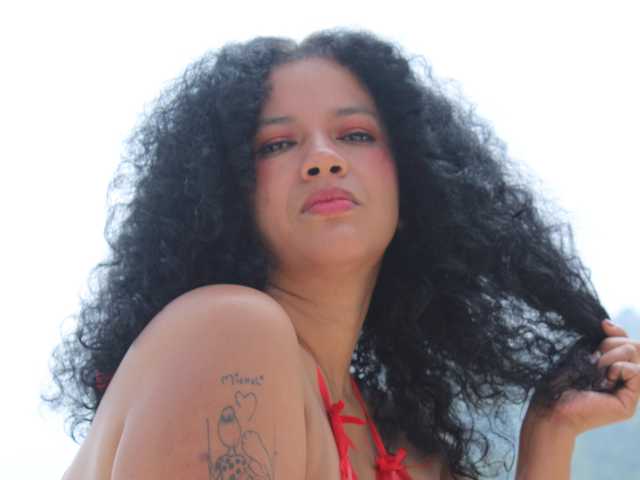 Photo du profil michelrous