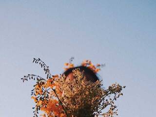 Chat vidéo érotique Miniiskis