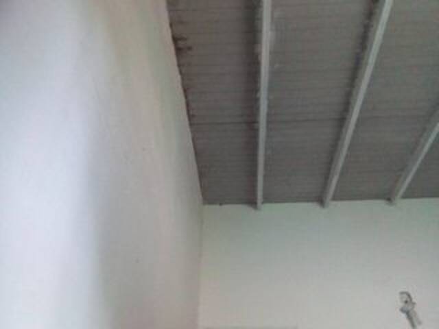 Captures d'écran de diffusion misscute