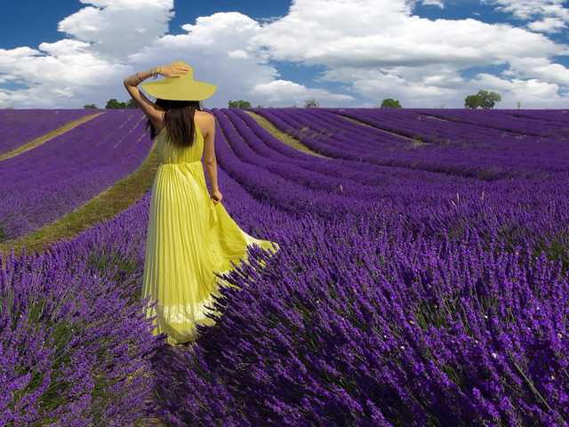 Photo du profil Naomi-Lynn