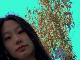 Chat vidéo érotique nik-for