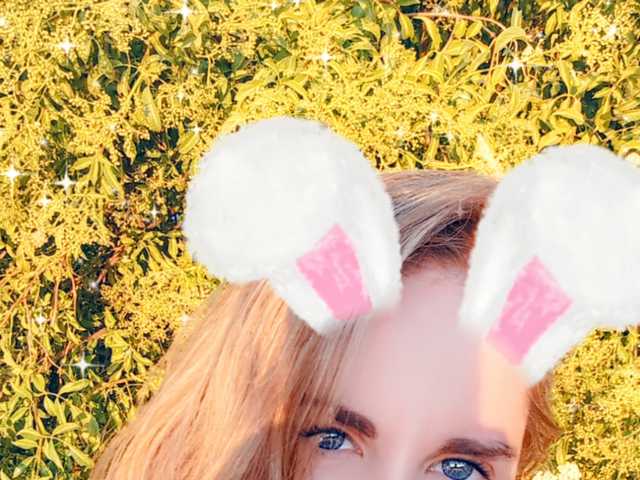 Photo du profil Nilkibunnyxo