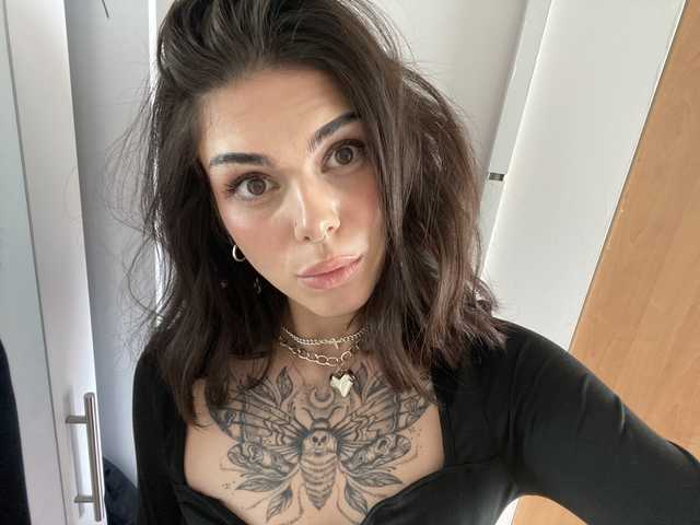 Photo du profil NovaSin