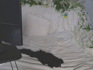 Chat vidéo érotique ViteR_