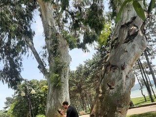 Chat vidéo érotique PUPI-DEL-REY