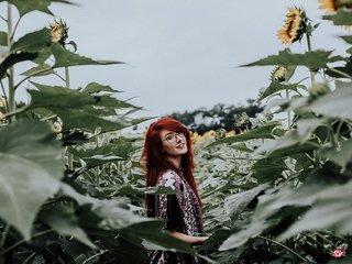 Chat vidéo érotique pussyxpaladin